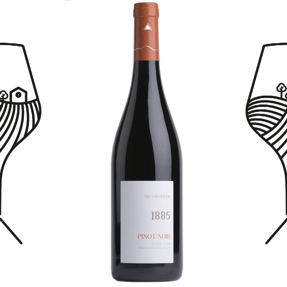 Bouteille Pinot Noir 1885